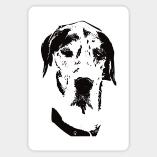 Great Dane Face Design Magnet